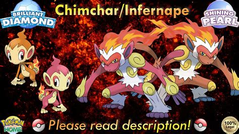 Chimchar Monferno Infernape Wallpaper