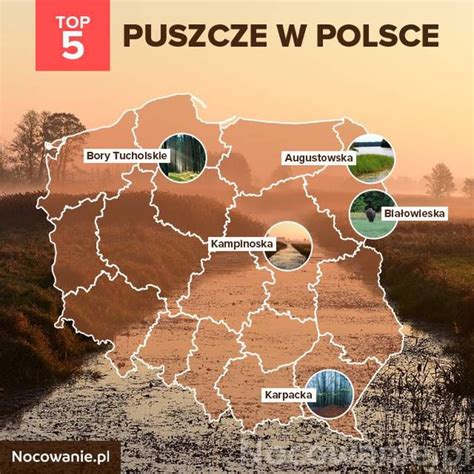 Puszcze W Polsce Top Miejsc Na Wypoczynek