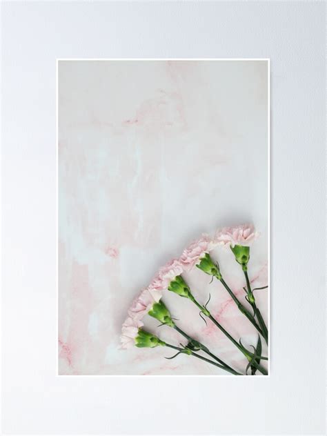 Blush Pink Rose Flowers Poster For Sale By Newburyboutique Redbubble