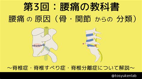 第3回：腰痛の教科書 触診解剖ブログ