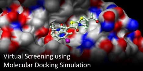 Virtual Screening using Molecular Docking Simulation – BIT 479/579 High ...