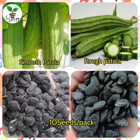 Patola Seeds For Planting Patola Variety Shopee Philippines