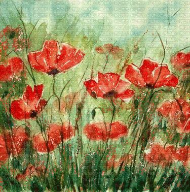 Fond Background Sfondo Paola Coquelicots Poppies Papaveri