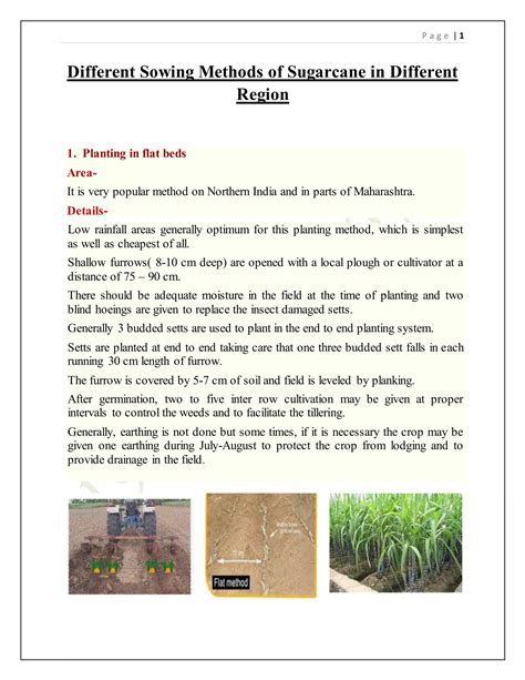 Different Sowing Methods Of Sugarcane In Different Region Pdf