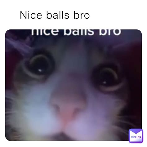 memezizlife memes