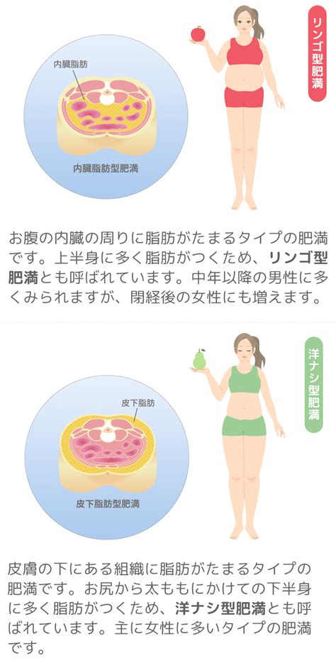 【臨床データあり】内臓脂肪を最速で減らす3つの方法―内臓脂肪蓄積が危険なワケ