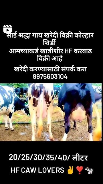 खरेदी करण्यासाठी संपर्क करा 9975603104 Youtube