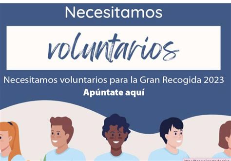 El Banco De Alimentos Busca Voluntarios Para La Recogida De Alimentos