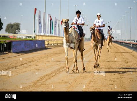 Sheikh Hamdan Bin Mohammed Bin Rashid Al Maktoum Fotos E Im Genes De