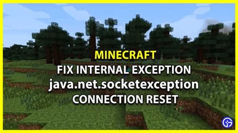 Minecraft How To Fix Internal Exception Connection Reset Gamer Tweak