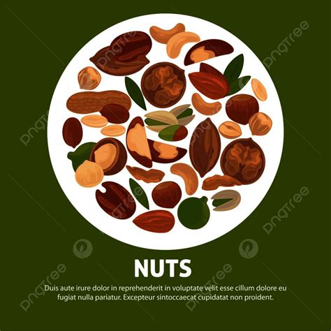 Delicious Nutritious Nuts Advertisement Banner With Italic Sign Inside