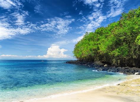 Tropical Beach. Bali Island, Indonesia Stock Image - Image of indonesia ...