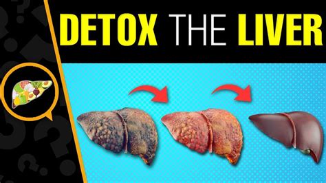 Liver Detox How To Detox Your Liver Naturally Youtube