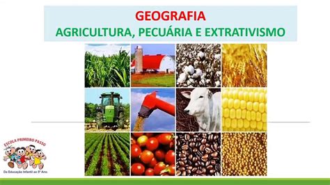 Considerando As Diferenças Entre Extrativismo Vegetal E Silvicultura