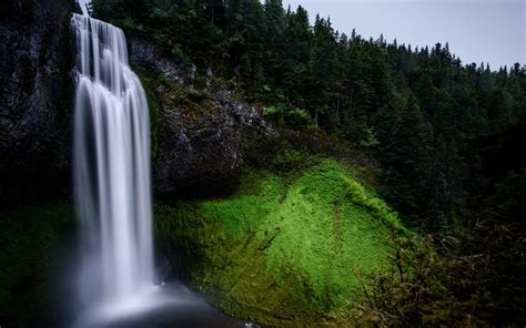 Wallpaper Green Trees Near Waterfalls During Daytime Background