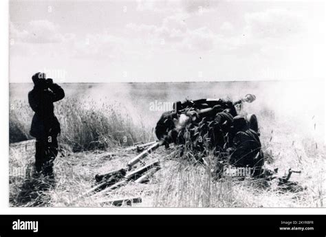 Panzer besatzungsmitglieder Fotos und Bildmaterial in hoher Auflösung