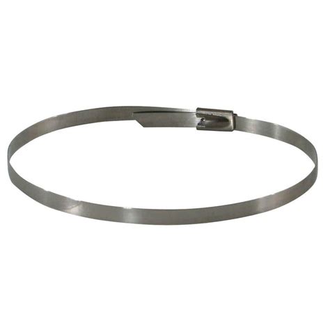 250-Piece Stainless Steel Cable Zip Ties-SSCZT250 - The Home Depot