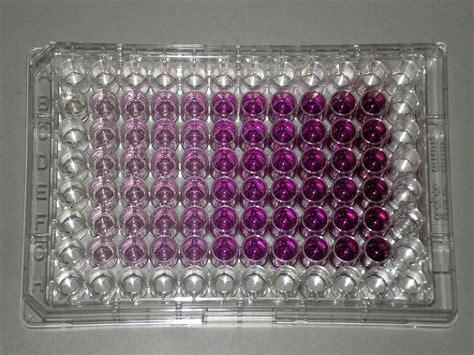 Difference Between Mtt And Mts Assay