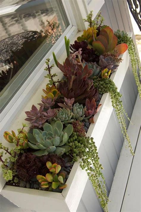 Succulent Planter Box From Simply Succulents Succulent Landscaping