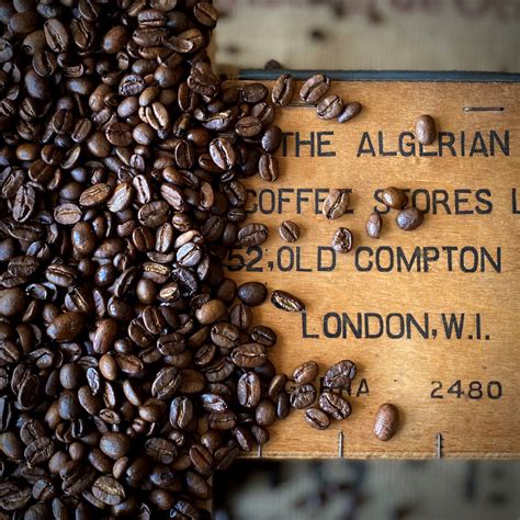 Algerian Coffee Stores