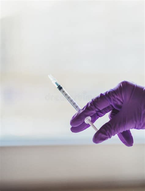 Hands In Purple Gloves Stock Image Image Of Laboratory