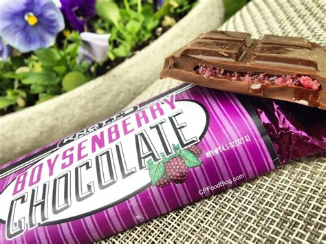 Review Knotts Berry Farm Boysenberry Chocolate Bar Fun Food Blog