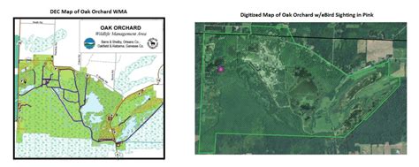 Left Dec Map Of Oak Orchard Download Scientific Diagram