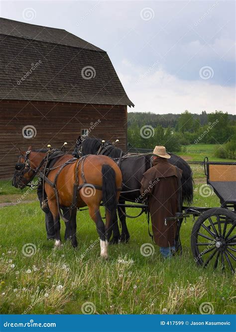 Pferden Wagen Stockbild Bild Von Kulturell Klemme Kanada 417599