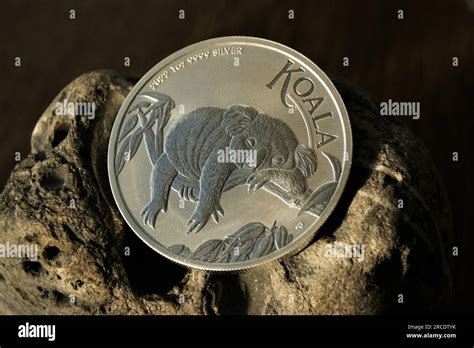 1 Dollar Australian Koala Pure Silver Investment Coin Stock Photo Alamy