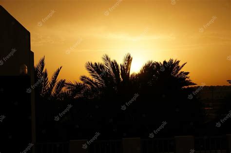 Premium Photo | Sunset over city with buildings in silhouette