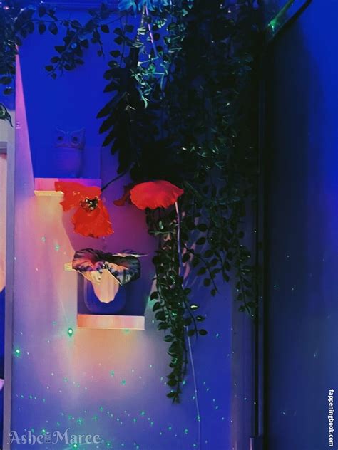 Ashe Maree Ashemaree Kittenisodd Nude OnlyFans Leaks Fappening FappeningBook