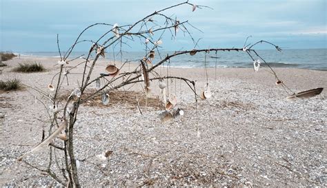 Edisto Beach State Park: First Trip of 2021! — Beach Nana