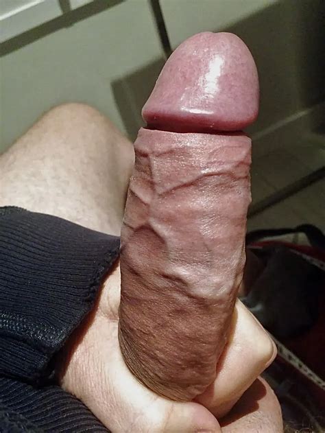 Big Cock Files Vol Nude Pics Xhamster