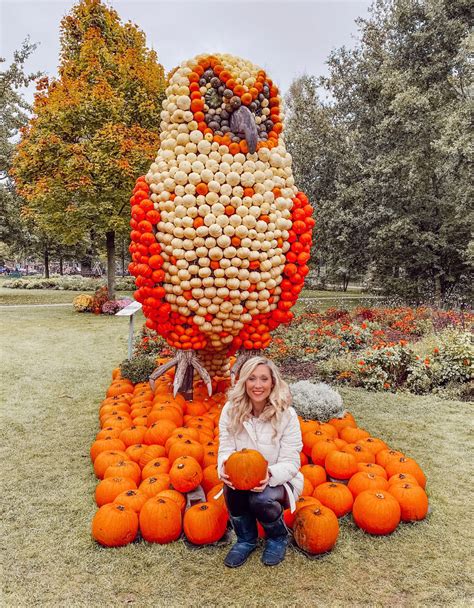 Minges Pumpkin Festival 2025 - Dora Jolene