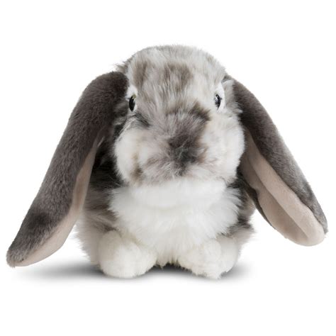 Grey Dutch Lop Ear Bunnyrabbitsoft Plush Toystuffed Animal Living