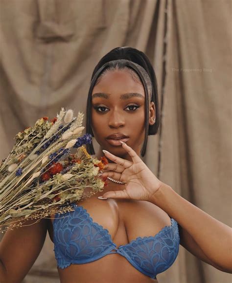 Normani Displays Her Tits In Lingerie 5 Photos Thefappening