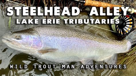 Steelhead Alley Fly Fishing Lake Erie Tributaries Youtube