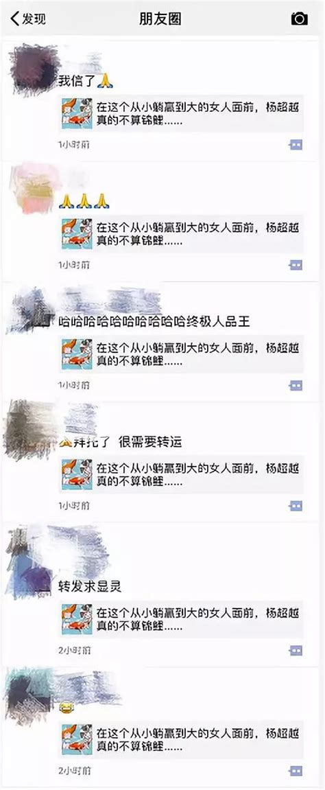 锦鲤到底是怎么火的？这篇文章终于说清楚了转发