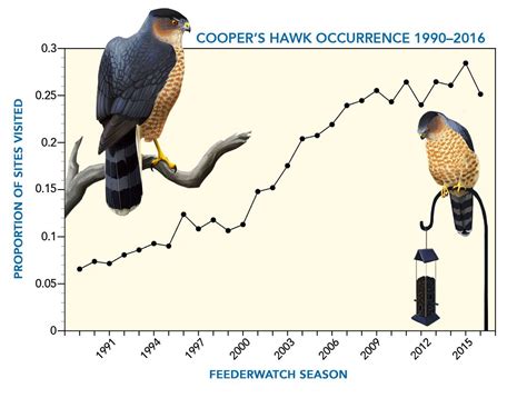 30 Years Of Project Feederwatch Yield New Insights About Backyard Birds