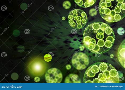 Green Algae Cells 3d Illustration Stock Illustration Illustration Of