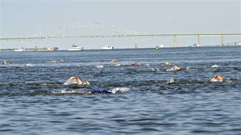 Maggie Fischer Swim Raises More Than G Newsday