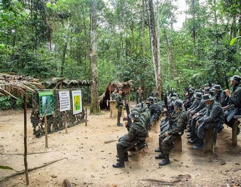 Ex Rcito Brasileiro Fotos Do Glassdoor Exercito Brasileiro