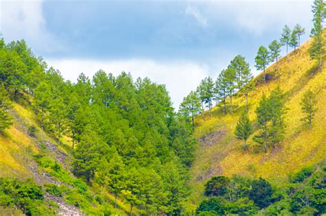 Pemandangan Bukit Yang Indah Lanskap Bukit Dan Gunung Dengan Langit