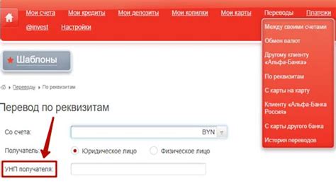 УНП в Альфа банке: что это такое, как узнать, где посмотреть
