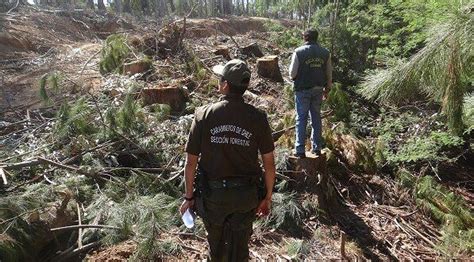 Conaf Capacita A Carabineros De Valpara So En Torno A La Fiscalizaci N