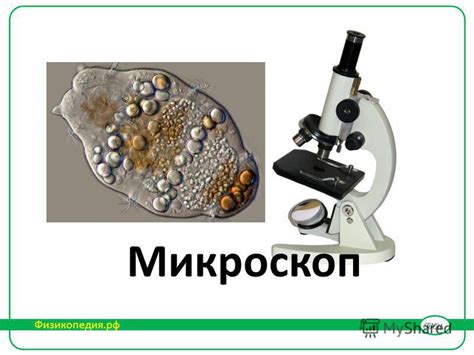 Презентация на тему: "Микроскоп Физикопедия.рф. Микроскоп – прибор с ...
