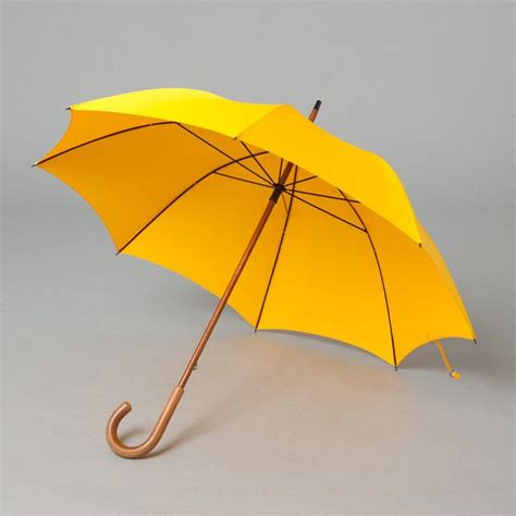 120 Best Yellow Umbrellas Images On Pinterest Umbrellas Yellow And