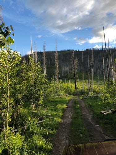 Best Off Road Driving Trails In Gifford Pinchot National Forest