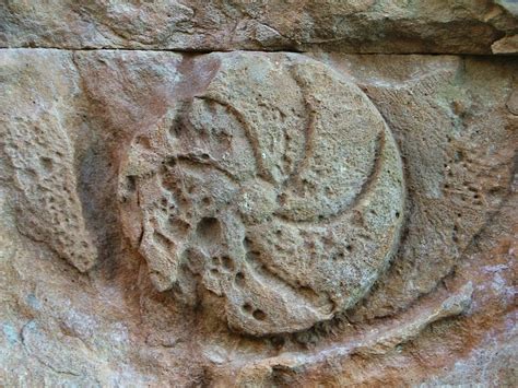 Understanding our past: April 2014