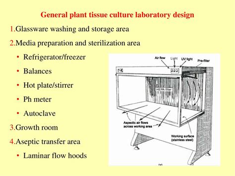 Ppt Plant Tissue Culture Powerpoint Presentation Free Download Id